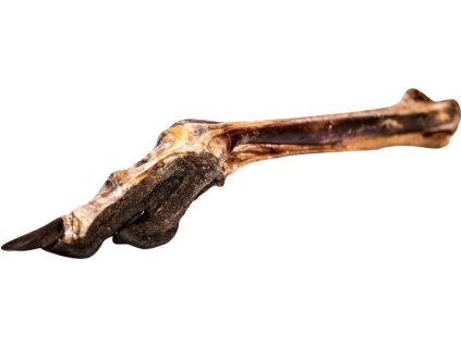 Pštrosí noha se šlachou a pařátem - 1 ks