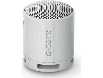 10 SRS XB100 Light Gray s