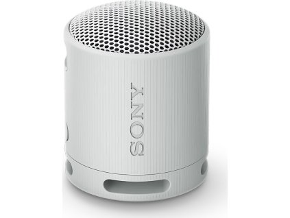 Sony SRS-XB100/Mono/Šedá