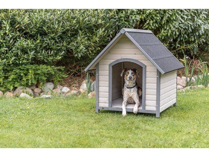 97ed8cf4fe6e873fa9619efee62f4cd5