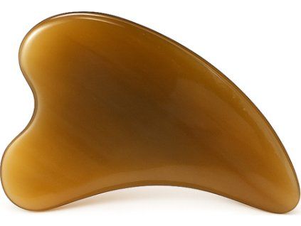 f737cffd62c948d4d08de2ac005903bf