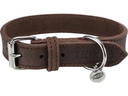 bad1ed2ffc61827ad352192439f337ab