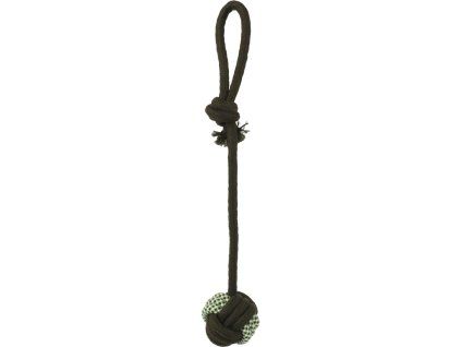 fb1d8076 4638 4cd9 8bdf 6ee3f656f264 353878