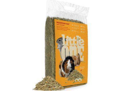 9f6e38a8 59ae 4808 b614 9f931c76ce74