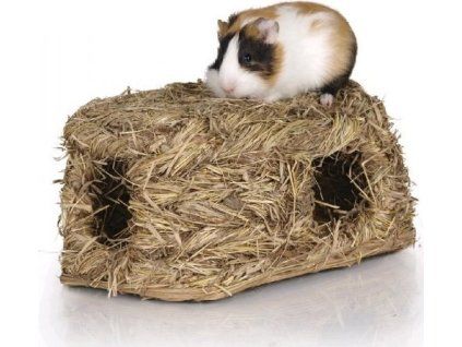 6c5d2a31 71e7 49aa b15f fa3060807cde 321545