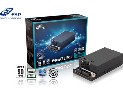 FSP ATX FlexGURU/300W/Flex/80PLUS Gold/Modular/Retail
