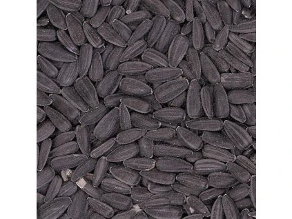 cf515d0886f5c49fb1f0b2ddd7560fa8