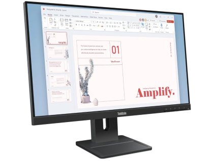 Lenovo ThinkVision/E24-40/23,8"/IPS/FHD/100Hz/4ms/Černá/3R