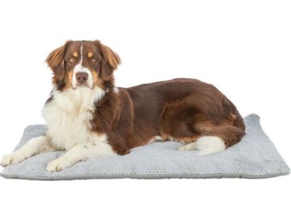 Vánoční podložka k ležení LIVIA Soft, 90 x 60 cm, šedá