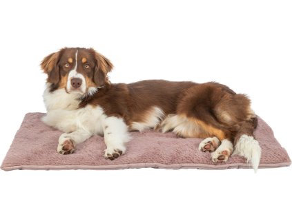 Vánoční podložka k ležení LIVIA Soft, 90 x 60 cm, starorůžová