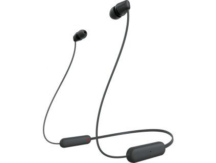 BTIN L standard black Large s