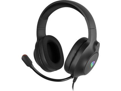 render Genesis Neon 213 1 s