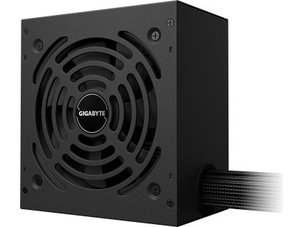 GIGABYTE P650G PCIE 5.1/650W/ATX 3.1/80PLUS Gold