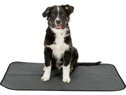 d6969c36e0afee542661732ed2f5b096