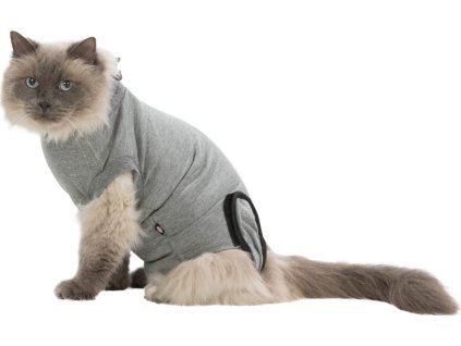 c21fb650b45d4309c1e37a0fcfa0f5b7