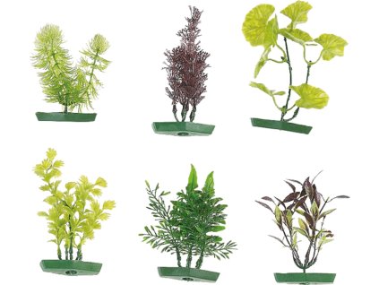 FLAMINGO  akvarijní rostliny mix   S