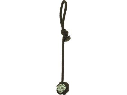 4ffd93f0 be96 44d1 b750 8913d2d3c1bc 353866