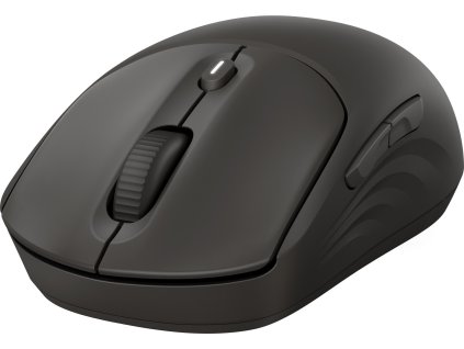 HP 405 Quiet Black Wireless Mouse EURO
