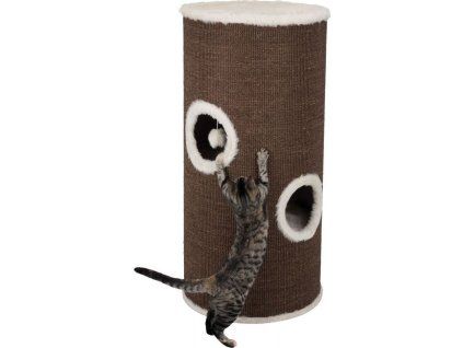 45ac886510db6321378960af97b15d1e