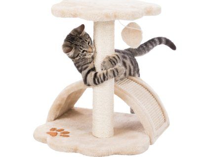 2fff6d50619b082f53526ec339f61e3e