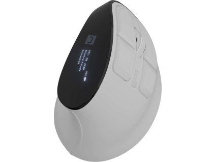 EUPHONIE PRO WHITE NMY 2378 render v1 1 s