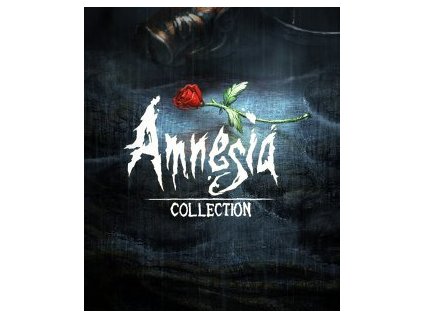 ESD Amnesia Collection