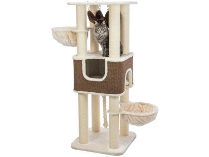 c9b774f9d7616001aaf4a314518685e6