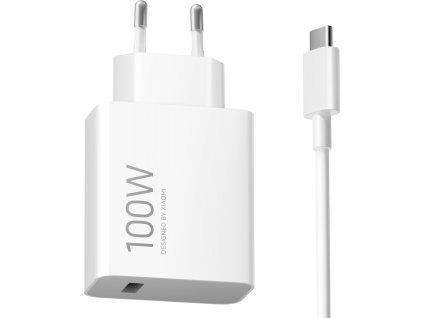 100W EU