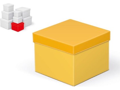 krabice dárková C-C002-D 14x14x11cm 5370789