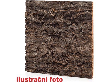 054774 KATALOG