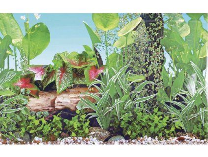 Akvarijní pozadí GRASSY, 41x1500cm