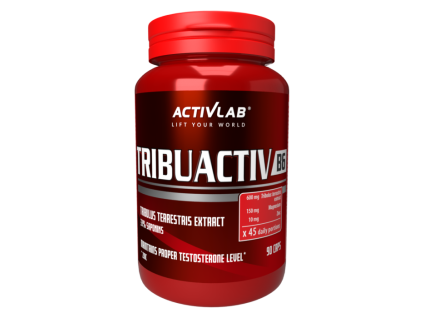 tribuactiveb6 2024 current view