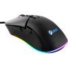dawn2