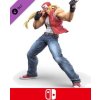 ESD Super Smash Bros. Ultimate Terry Bogard Challe