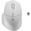 Natec optická myš SISKIN 2/Kancelářská/Optická/Pro praváky/1 600 DPI/USB+BT/Bílá