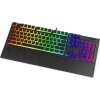 Endorfy herní klávesnice Omnis Pudd.Kailh RD RGB /USB/ red switch / drátová / mechanická / US layout / černá RGB