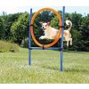 AGILITY kruh proskakovací