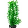 Rostlina Green Cabomba Tetra L 30cm