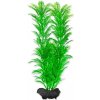 Rostlina Green Cabomba Tetra M 23cm