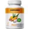 Mycomedica Curcumin 120 kapslí