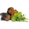 chaga susena 1.1646628311