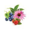 b47b9ee2c948fbddc074ccc3f907c500