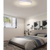IMMAX NEO RONDATE SLIM Smart stropní svítidlo 60 x 7cm 53W 3710lm bílé Zigbee 3.0, TUYA