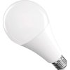 LED žárovka Classic A80 / E27 / 20 W (150 W) / 2452 lm / studená bílá