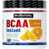 Survival BCAA Instant