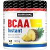 Survival BCAA Instant (Varianta meloun, 300 g)
