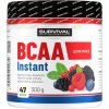 Survival BCAA Instant (Varianta meloun, 300 g)