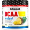 Survival BCAA Instant