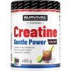 Survival Creatine Monohydrate Gentle Power (Varianta broskev, 480 g)