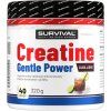 Survival Creatine Monohydrate Gentle Power (Varianta broskev, 480 g)
